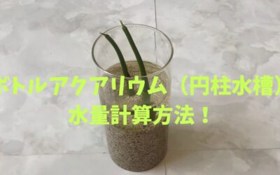 【マングローブ】ボトルアクアリウム（円柱水槽）の水量計算方法！