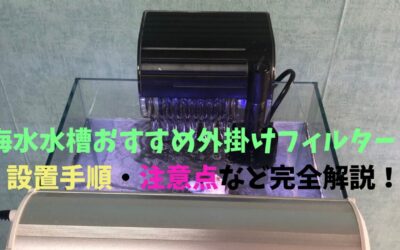 【手軽】海水水槽おすすめ外掛けフィルター！設置手順・注意点など完全解説！