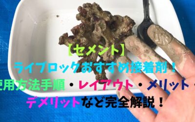 【セメント】ライブロックおすすめ接着剤！使用方法手順・メリット・デメリットなど完全解説！