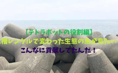 【テトラポットの役割編】水槽レンタルで変わった生態の魚が見たい！こんなに貢献してたんだ！