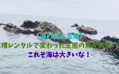 【海の全水量編】水槽レンタルで変わった生態の魚が見たい！これぞ海は大きいな！