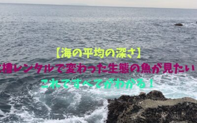 【海の平均の深さ編】水槽レンタルで変わった生態の魚が見たい！これですべてがわかる！