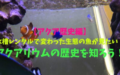 【アクア歴史編】水槽レンタルで変わった生態の魚が見たい！アクアリウムの歴史を知ろう！