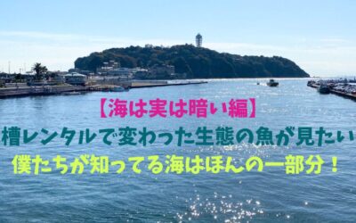 【海は実は暗い編】水槽レンタルで変わった生態の魚が見たい！僕たちが知ってる海はほんの一部分！