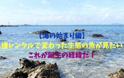 【海の始まり編】水槽レンタルで変わった生態の魚が見たい！これが誕生の経緯だ！