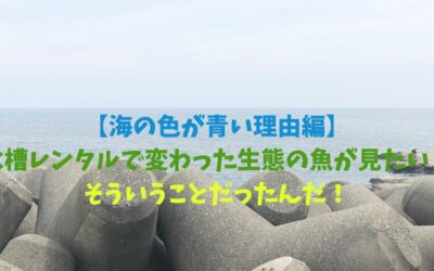 【海の色が青い理由編】水槽レンタルで変わった生態の魚が見たい！そういうことだったんだ！