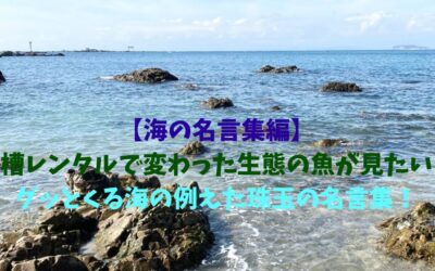 【海の名言集編】水槽レンタルで変わった生態の魚が見たい！グッとくる海の例えた珠玉の名言集！