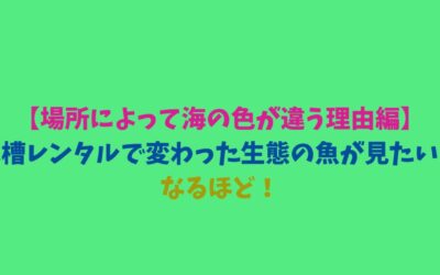 【場所によって海の色が違う理由編】水槽レンタルで変わった生態の魚が見たい！なるほど！
