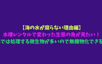 【海の水が腐らない理由編】水槽レンタルで変わった生態の魚が見たい！海では処理する微生物が多いので無機物化できる！