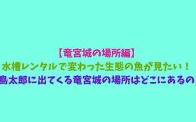 【竜宮城の場所編】水槽レンタルで変わった生態の魚が見たい！浦島太郎に出てくる竜宮城の場所はどこにあるの？