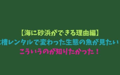 【海に砂浜ができる理由編】水槽レンタルで変わった生態の魚が見たい！こういうのが知りたかった！