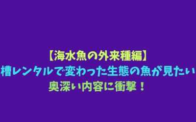 【海水魚の外来種編】水槽レンタルで変わった生態の魚が見たい！奥深い内容に衝撃！