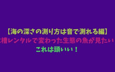 【海の深さの測り方は音で測れる編】水槽レンタルで変わった生態の魚が見たい！これは頭いい！