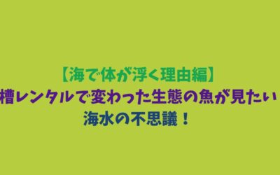 【海で体が浮く理由編】水槽レンタルで変わった生態の魚が見たい！海水の不思議！