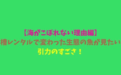 【海がこぼれない理由編】水槽レンタルで変わった生態の魚が見たい！引力のすごさ！