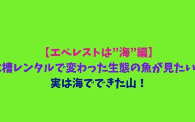 【エベレストは”海”編】水槽レンタルで変わった生態の魚が見たい！実は海でできた山！
