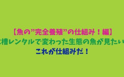 【魚の”完全養殖”の仕組み！編】水槽レンタルで変わった生態の魚が見たい！これが仕組みだ！