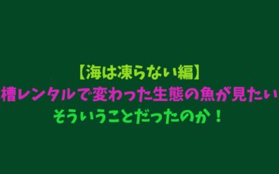 【海は凍らない編】水槽レンタルで変わった生態の魚が見たい！そういうことだったのか！