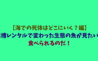 【海での死体はどこにいく？編】水槽レンタルで変わった生態の魚が見たい！食べられるのだ！