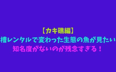 【カキ礁編】水槽レンタルで変わった生態の魚が見たい！知名度がないのが残念すぎる！