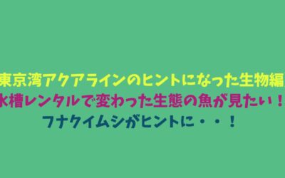 【東京湾アクアラインのヒントになった生物編】水槽レンタルで変わった生態の魚が見たい！フナクイムシがヒントに・・！