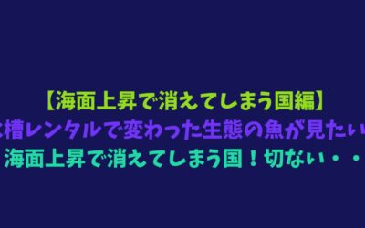【海面上昇で消えてしまう国編】水槽レンタルで変わった生態の魚が見たい！海面上昇で消えてしまう国！切ない・・