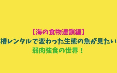 【海の食物連鎖編】水槽レンタルで変わった生態の魚が見たい！弱肉強食の世界！