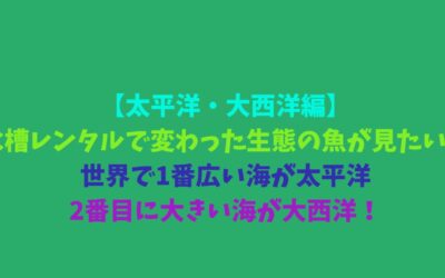 【太平洋・大西洋編】水槽レンタルで変わった生態の魚が見たい！世界で1番広い海が太平洋で、2番目に大きい海が大西洋！