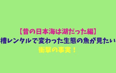 【昔の日本海は湖だった編】水槽レンタルで変わった生態の魚が見たい！衝撃の事実！