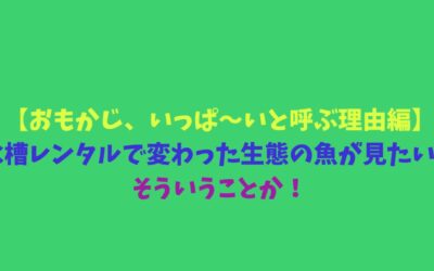 【おもかじ、いっぱ～いと呼ぶ理由編】水槽レンタルで変わった生態の魚が見たい！そういうことか！
