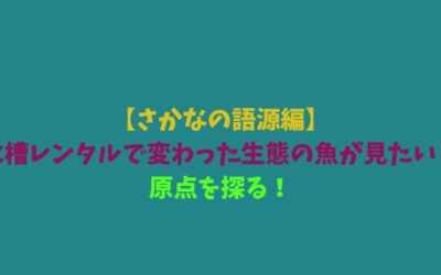 【さかなの語源編】水槽レンタルで変わった生態の魚が見たい！原点を探る！