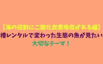 【海の役割に二酸化炭素吸収がある編】水槽レンタルで変わった生態の魚が見たい！大切なテーマ！