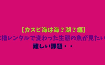 【カスピ海は海？湖？編】水槽レンタルで変わった生態の魚が見たい！難しい課題・・