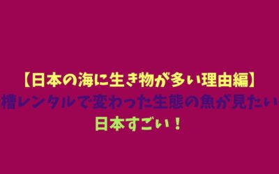 【日本の海に生き物が多い理由編】水槽レンタルで変わった生態の魚が見たい！日本すごい！