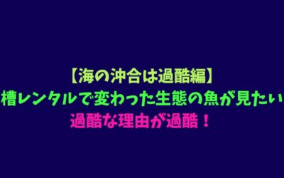 【海の沖合は過酷編】水槽レンタルで変わった生態の魚が見たい！過酷な理由が過酷！