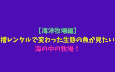 【海洋牧場編】水槽レンタルで変わった生態の魚が見たい！海の中の牧場！