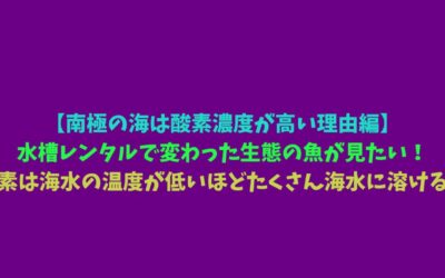 【南極の海は酸素濃度が高い理由編】水槽レンタルで変わった生態の魚が見たい！酸素は海水の温度が低いほどたくさん海水に溶ける！