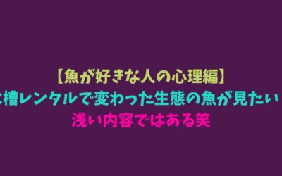 【魚が好きな人の心理編】水槽レンタルで変わった生態の魚が見たい！浅い内容ではある笑