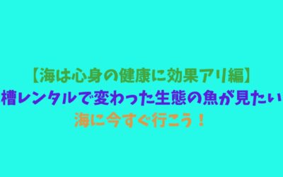 【海は心身の健康に効果アリ編】水槽レンタルで変わった生態の魚が見たい！海に今すぐ行こう！