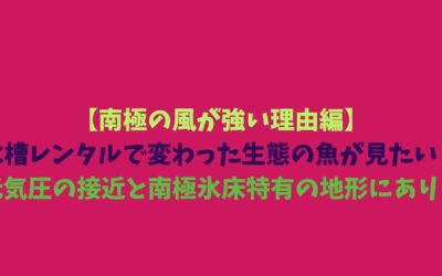 【南極の風が強い理由編】水槽レンタルで変わった生態の魚が見たい！低気圧の接近と南極氷床特有の地形にあり！