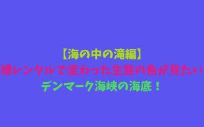 【海の中の滝編】水槽レンタルで変わった生態の魚が見たい！デンマーク海峡の海底！