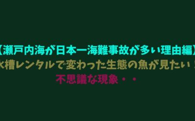 【瀬戸内海が日本一海難事故が多い理由編】水槽レンタルで変わった生態の魚が見たい！不思議な現象・・