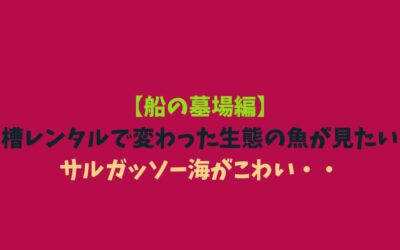 【船の墓場編】水槽レンタルで変わった生態の魚が見たい！サルガッソー海がこわい・・