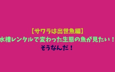 【サワラは出世魚編】水槽レンタルで変わった生態の魚が見たい！そうなんだ！