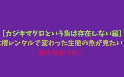 【カジキマグロという魚は存在しない編】水槽レンタルで変わった生態の魚が見たい！知らなかった！