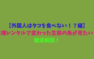 【外国人はタコを食べない！？編】水槽レンタルで変わった生態の魚が見たい！徹底解説！