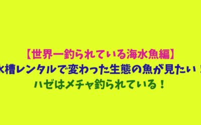 【世界一釣られている海水魚編】水槽レンタルで変わった生態の魚が見たい！ハゼはメチャ釣られている！