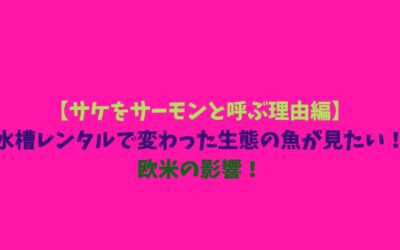 【サケをサーモンと呼ぶ理由編】水槽レンタルで変わった生態の魚が見たい！欧米の影響！