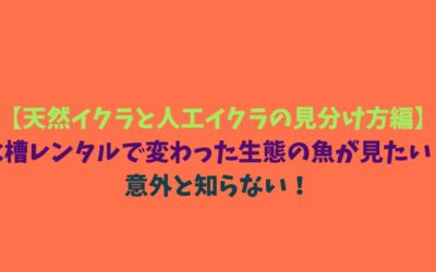 【天然イクラと人工イクラの見分け方編】水槽レンタルで変わった生態の魚が見たい！意外と知らない！