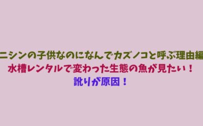 【ニシンの子供なのになんでカズノコと呼ぶ理由編】水槽レンタルで変わった生態の魚が見たい！訛りが原因！
